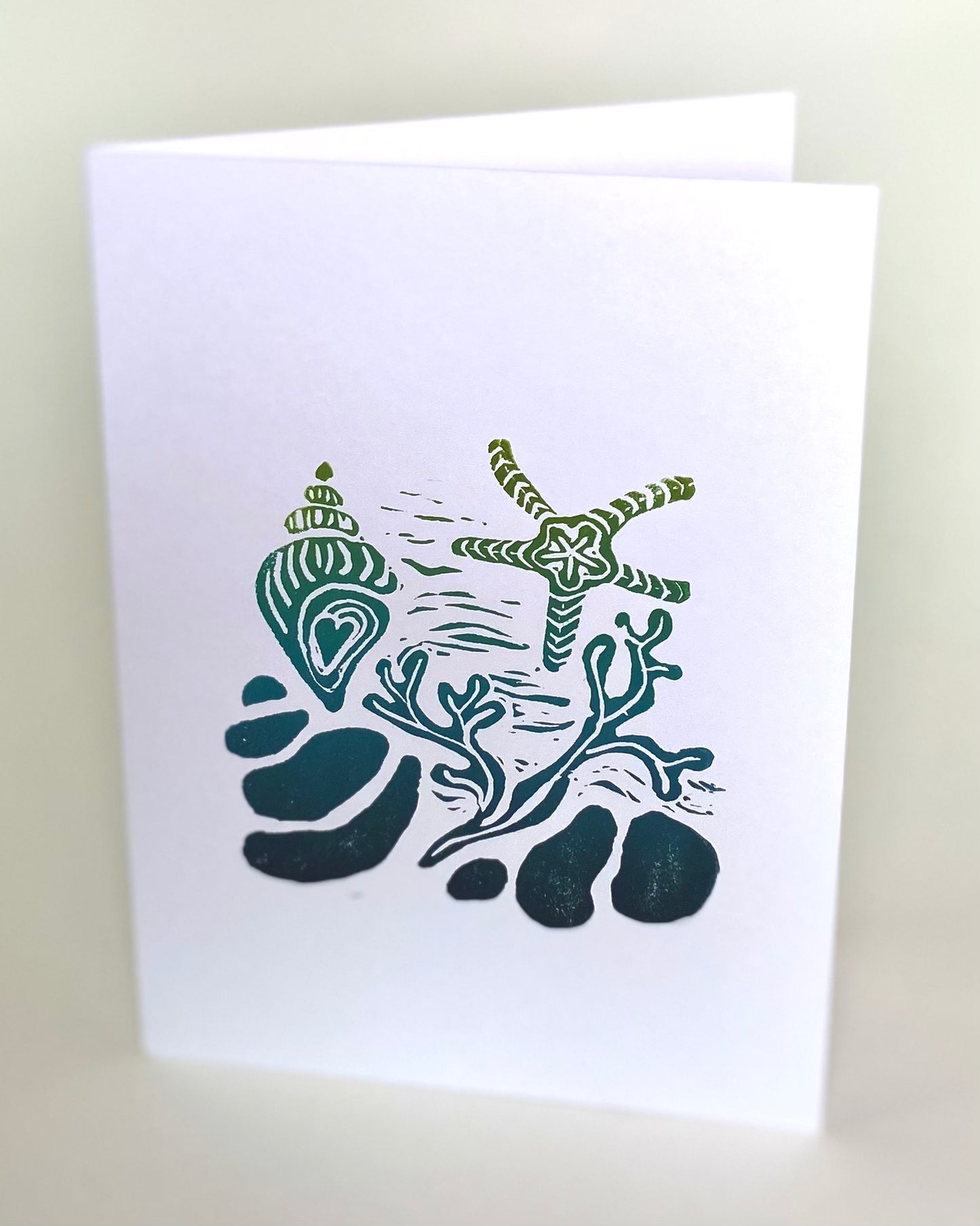 Tidal Pool 5x7 Cards: assorted colors