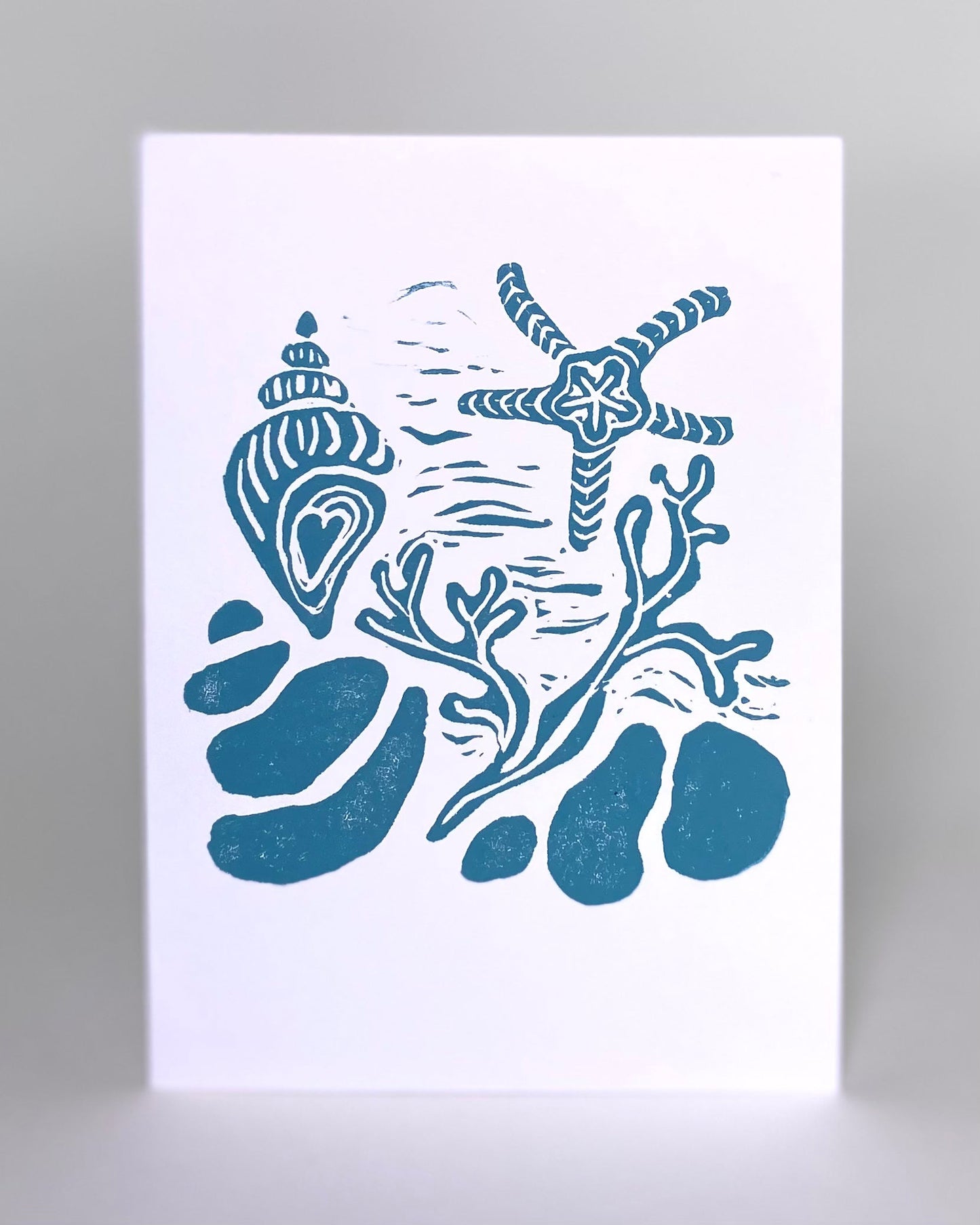 Tidal Pool Notecards: assorted colors