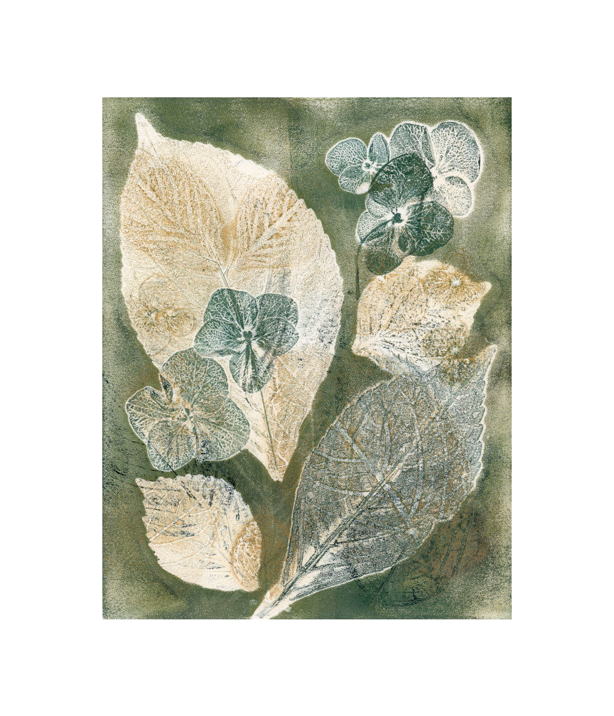 Hydrangea - Green & Gold