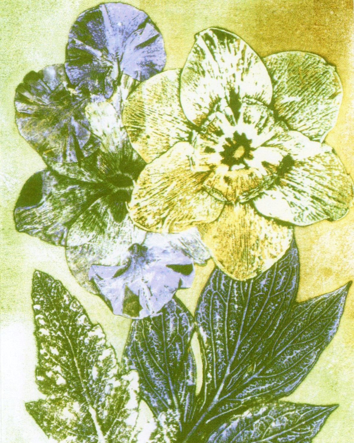 Daffodils Notecards Set