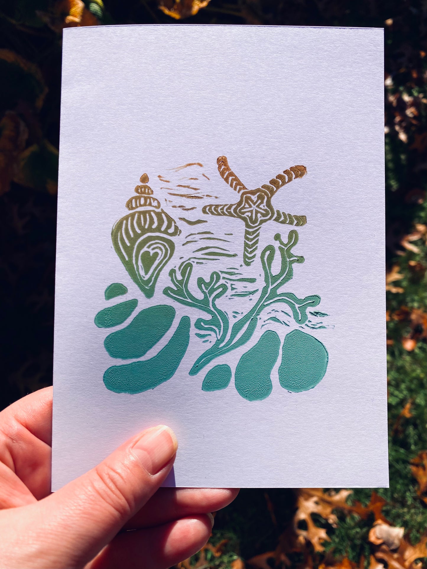 Tidal Pool 5x7 Cards: assorted colors