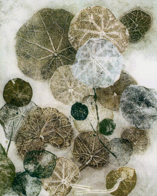 Nasturtiums: Botanical Notecards